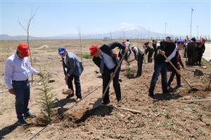 ASÜ’de Kutlu Doğuma Özel Fidan Dikme Çalışması 