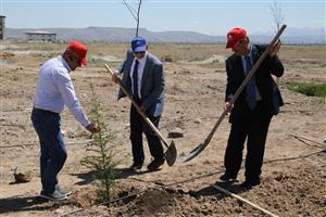 ASÜ’de Kutlu Doğuma Özel Fidan Dikme Çalışması 