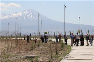 ASÜ’de Kutlu Doğuma Özel Fidan Dikme Çalışması 